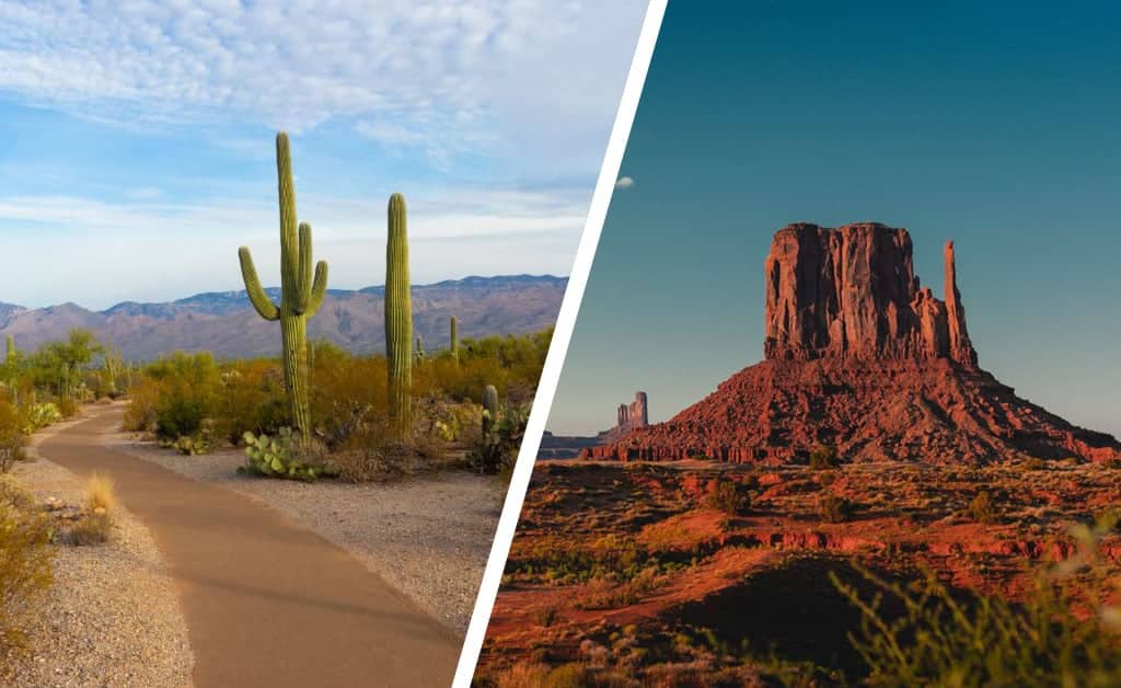 Only True Geniuses Can Score 100% In This Arizona Quiz